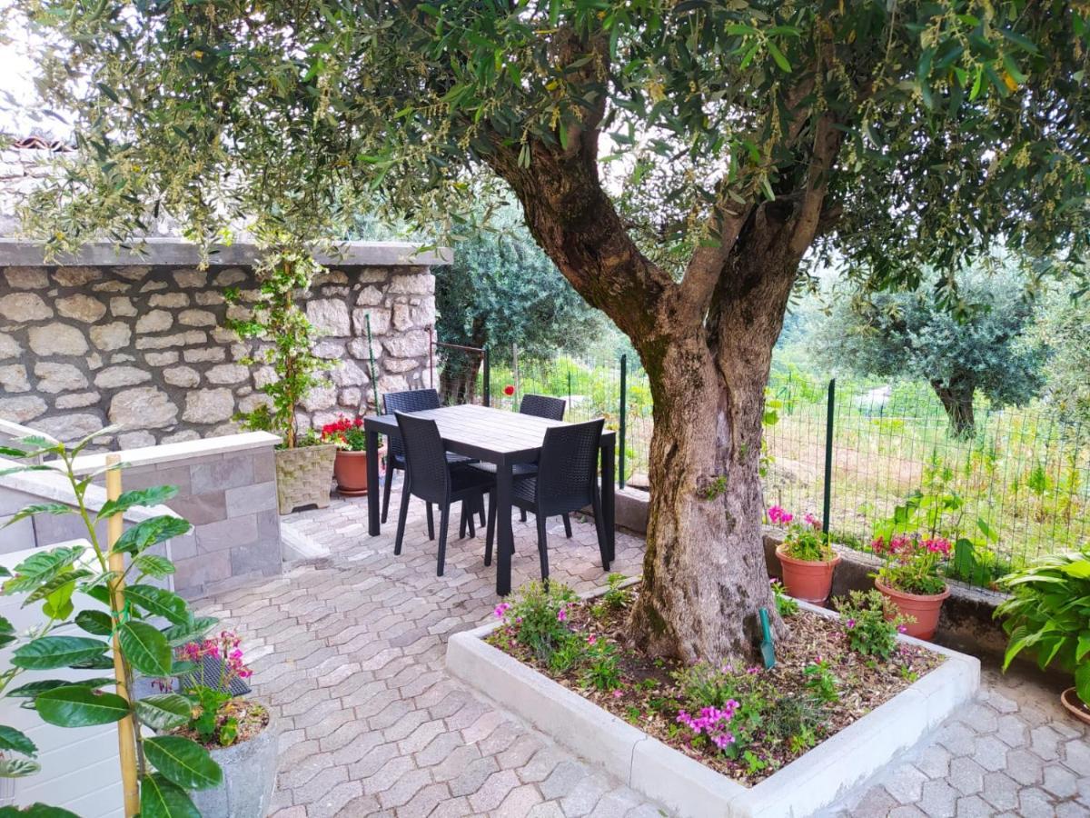 Casa Degli Ulivi Con Parcheggio Privato Daire Muro Lucano Dış mekan fotoğraf
