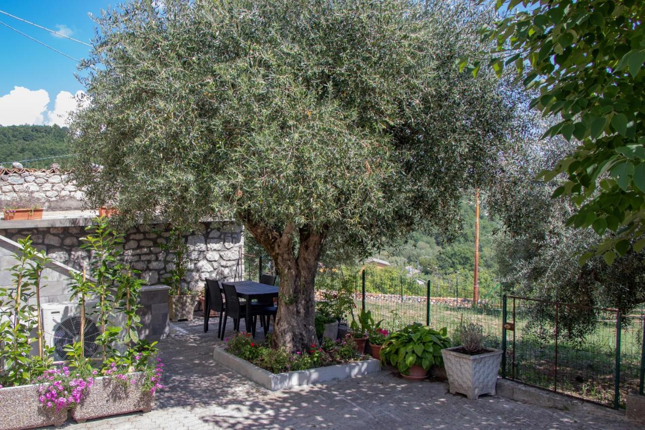 Casa Degli Ulivi Con Parcheggio Privato Daire Muro Lucano Dış mekan fotoğraf
